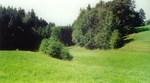 Burgstall Foerles-Neudürrlas