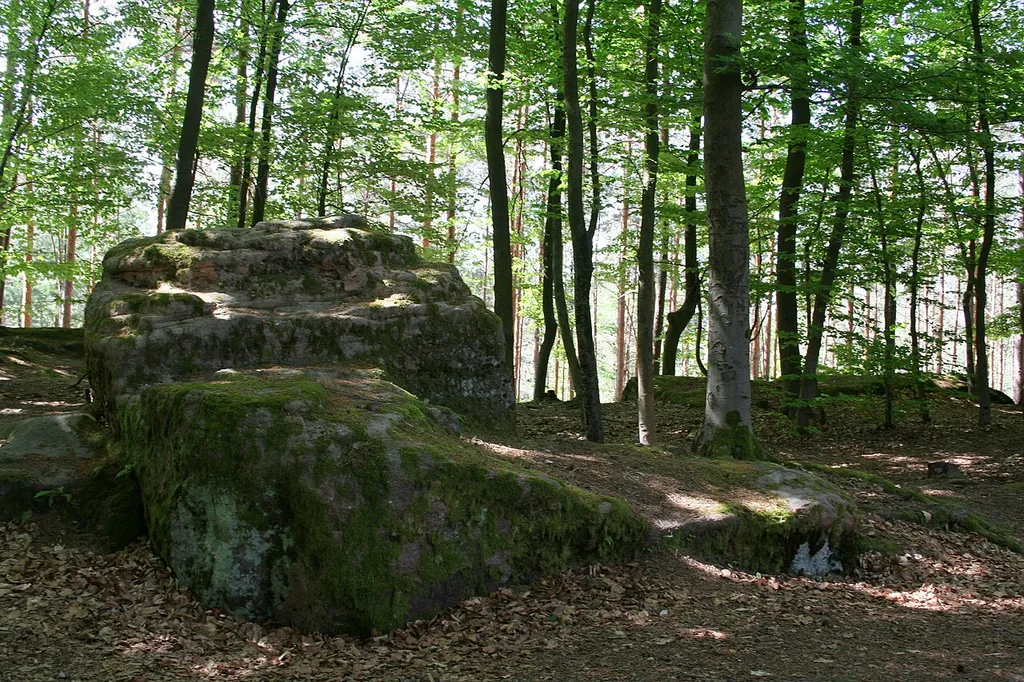 Burgstall Wartstein