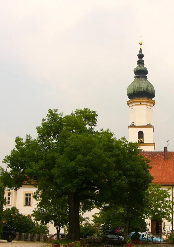 Ehemalige Benediktinerklosterkirche, jetzt katholische Stadtpfarrkirche St. Veit, zweischiffige Hallenkirche, spätgotisch, im 15. Jahrhundert unter Verwendung älterer, noch romanischer Bauteile errichtet; Sakristei, von 1639. - Friedhofsummauerung, mit barocker Kapellenreihe und Grabsteinen bzw. Epitaphien des 17. bis frühen 19. Jahrhundert; mit Ausstattung. - Leichenhaus, eingeschossiger Satteldachbau mit Queranbau, Arkaden und Dachreiter, wohl erste Hälfte 19. Jahrhundert - Vier Klosterweiher, wohl 17./18. Jahrhundert.