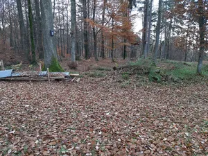 Burgstelle Hebelstein