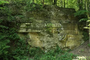 Laubwälder um Würzburg