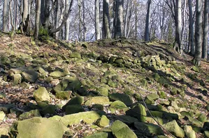 Starý Světlov