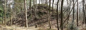 Motte bei Burg am Wald, Dreisamtal-Breisgau