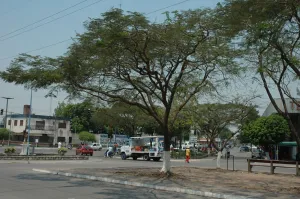 Libertador General San Martín