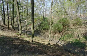 Reste der Burg im Liechtensteinschen Landschaftsgarten