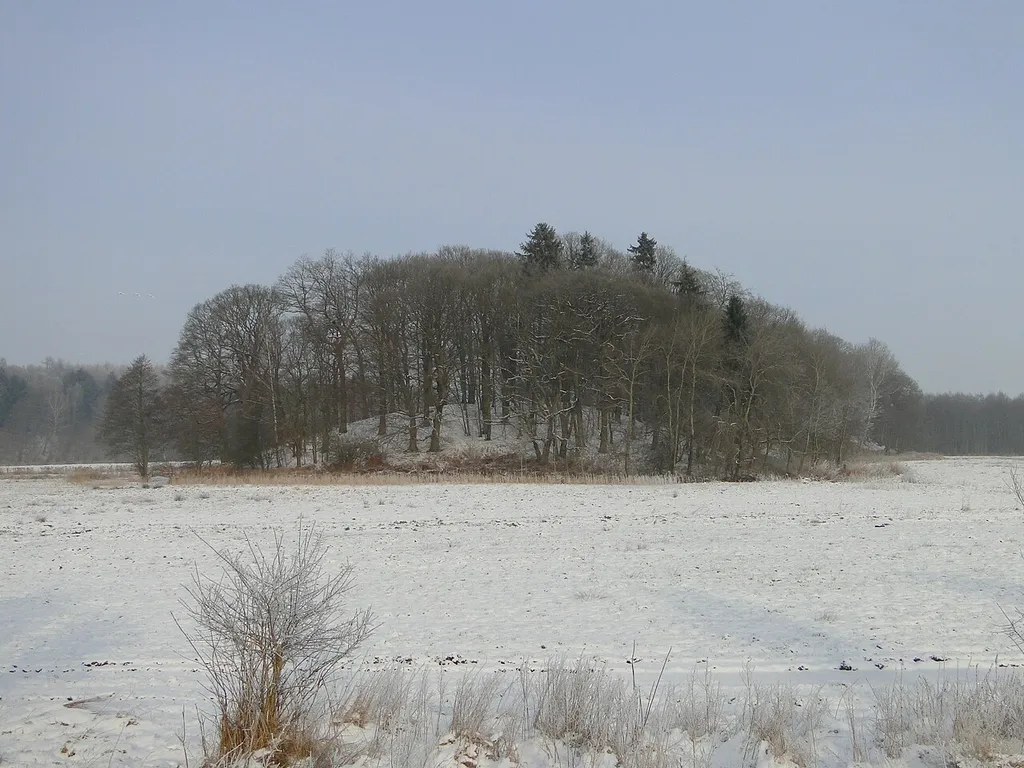 Nature reserve Moorrinne von Klein Salitz bis zum Neuenkirchener See in Neuenkirchen (Zarentin am Schaalsee), district Ludwigslust-Parchim, Mecklenburg-Vorpommern, Germany