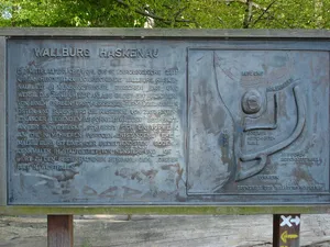 Haskenau