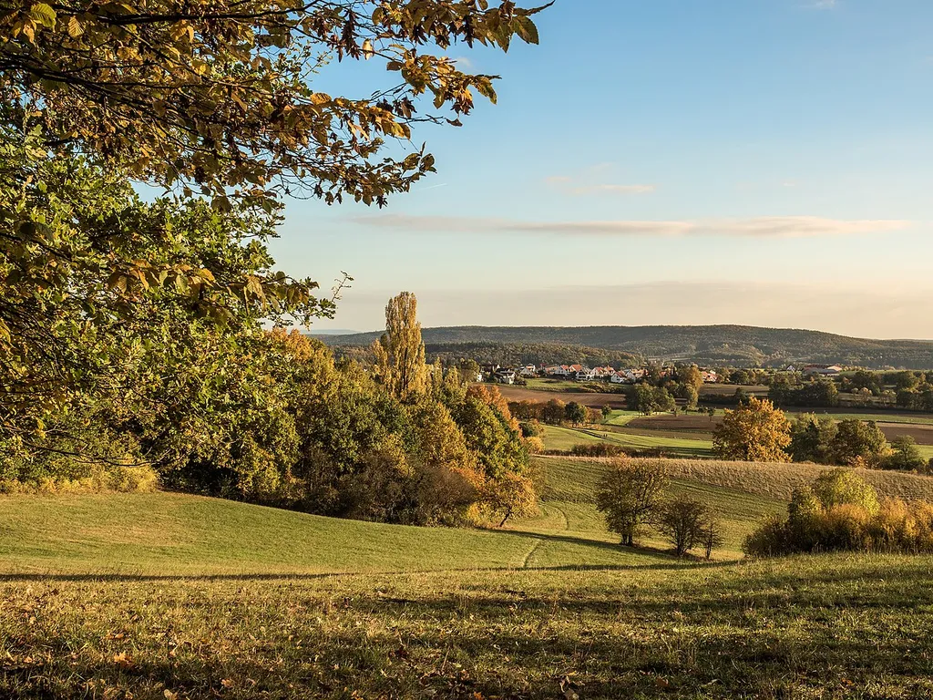 Meadows around the Altenburg in Bamberg LSG-00279.01