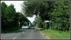 Debrecen "Big Forest" Nature Conservation Area