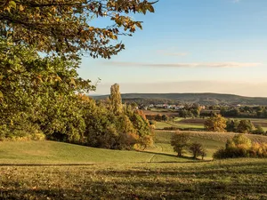 Schutz der Landschaftsräume Altenburg - Rothof im Gebiet der Stadt Bamberg