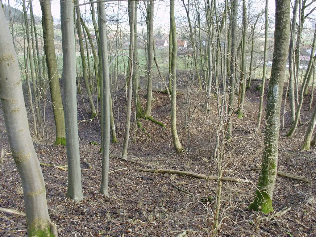 Burgstall Lunkenburg bei Meinheim-Wolfsbronn, Landkreis Weißenburg-Gunzenhausen (Deutschland/Bayern)