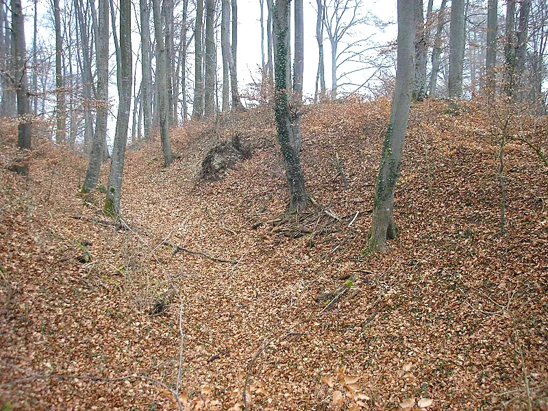 Frühmittelalterlicher Burgstall Purk (Gemeinde Moorenweis, Landkreis Fürstenfeldbruck, Oberbayern). Blick in den Graben der Ostseite. Eigene Aufmahme, Jan. 2008 / Early Middle Ages castle Purk near Moorenweis, Upper Bavaria, Germany. Looking inte the eastern moat. Own photo, Jan. 2008