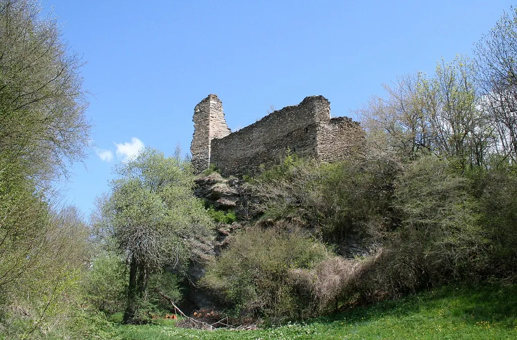 Burg Heinzenberg von SE