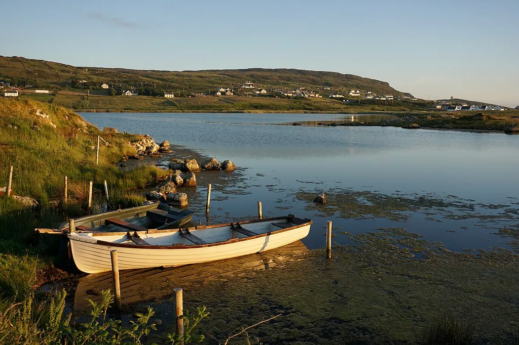 Maghery Lough is the main habitat in the Termon Strand special area of conservation (SAC) in County Donegal, Ireland. It is a coastal lagoon that receives both freshwater and seawater.