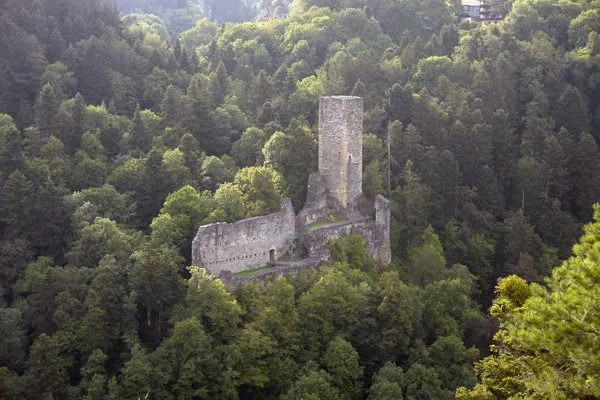 Blick auf die Burgruine Wieladingen