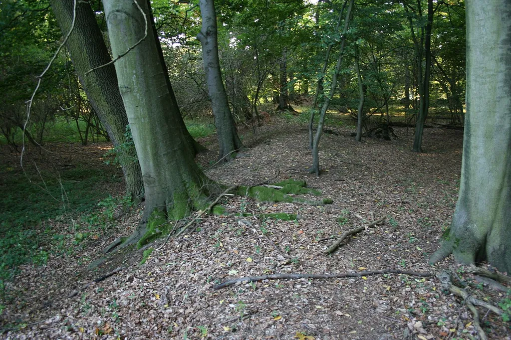 Castle Altenburg, Hanau-Mittelbuchen, Hesse.