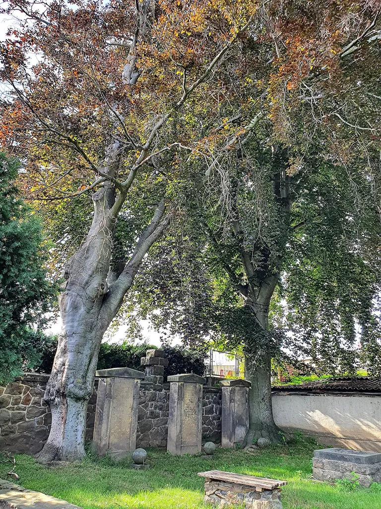 Friedhof Mutzschen - Obere Hauptstraße 42, Gefallenendenkmal für die Opfer beider Weltkriege