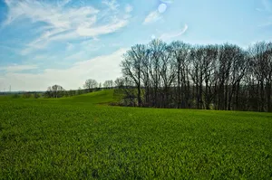 Burgberg Zschaitz