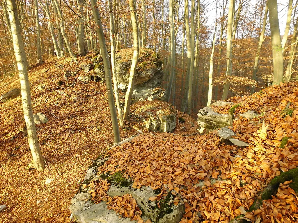 Abgegangene Höhenburg Burg Genkingen auf einem Bergsporn nördlich von Genkingen