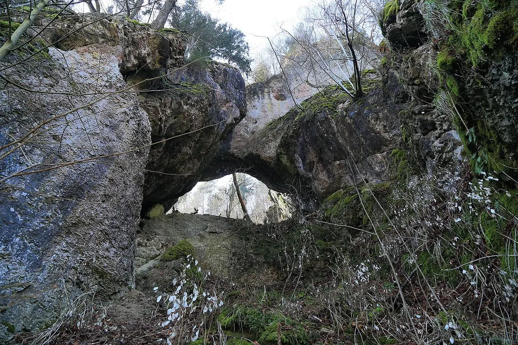 Felstor NW von Burggaillenreuth Geotop-Nummer: 474R057 6233GT000025 Ebermannstadt Forchheim 6233 Ebermannstadt R: 4448193 H: 5516622 450 m ü.NN L: 200 m, B: 30 m, H: 10 m, F: 600 qm Nördliche Frankenalb