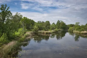 Mittlere Elbe (Magdeburg)