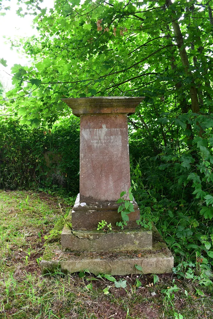 Ide, Devon