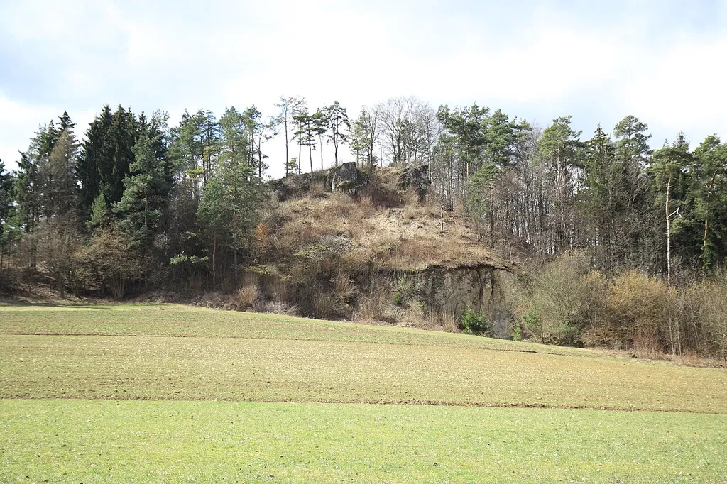 Ansicht des Burgstalls Wartberg aus östlicher Richtung