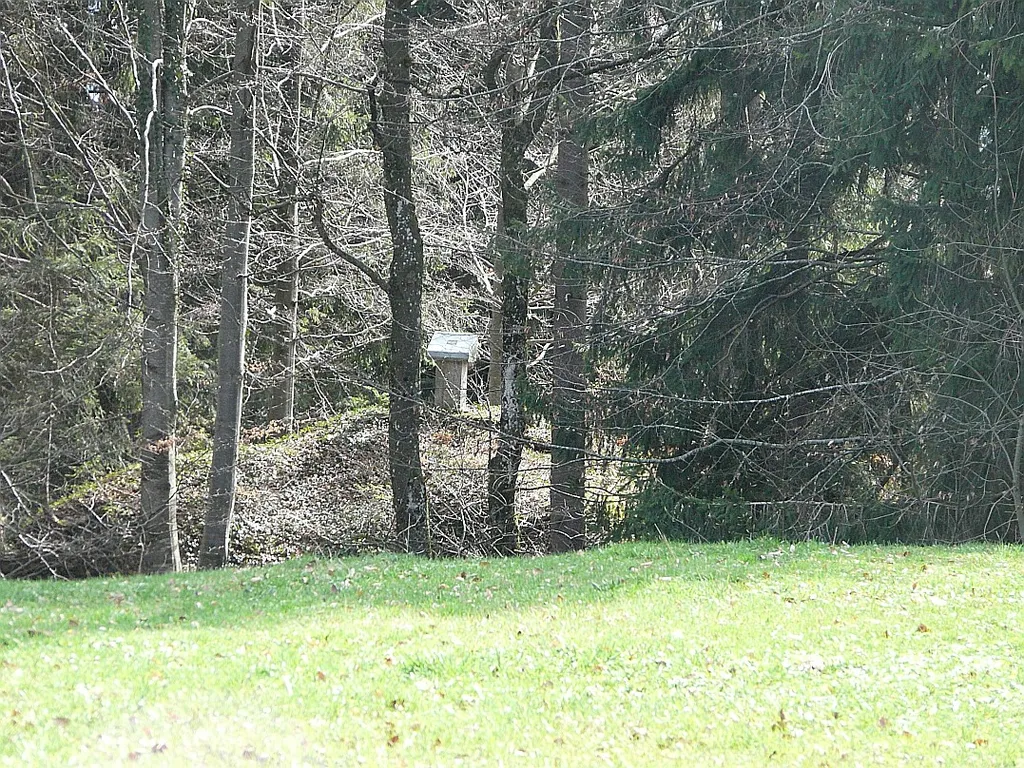 Burgstall Linsen