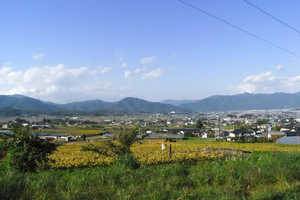Ueda