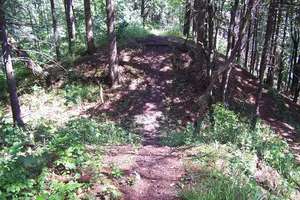 Burg Hermannstein