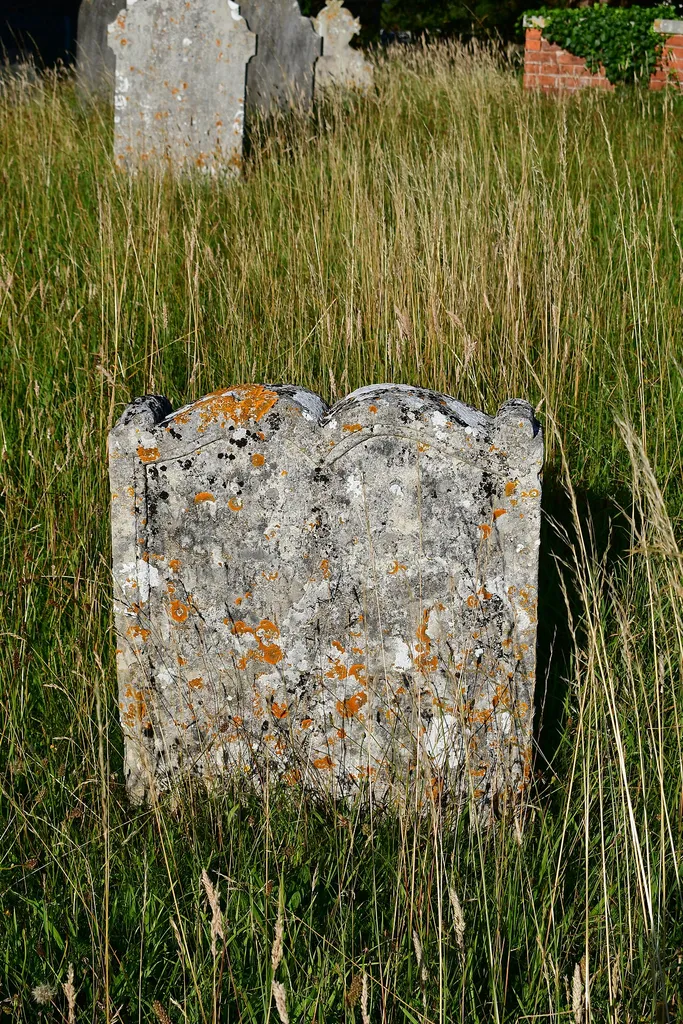 Otterton churchyard in East Devon