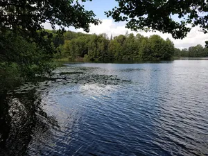 Waldgebiete in Lauenburg