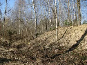 Burgstall Aubing