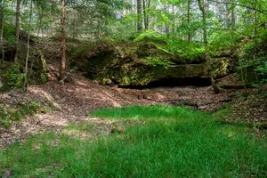Fürther und Zirndorfer Stadtwald