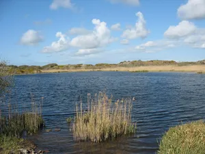 Llyn Cerrig Bach