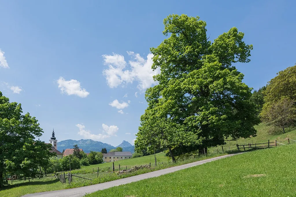 This media shows the natural monument in Upper Austria with the ID nd144.
