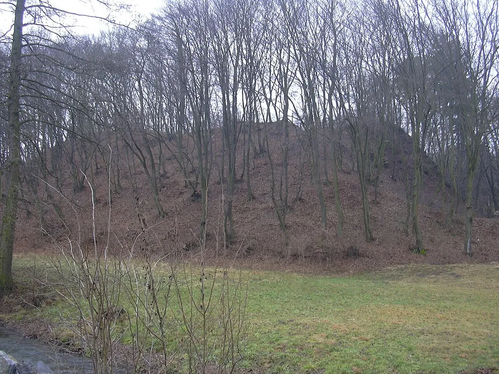Val se zříceninou Dědice (Vyškov- czech republic)