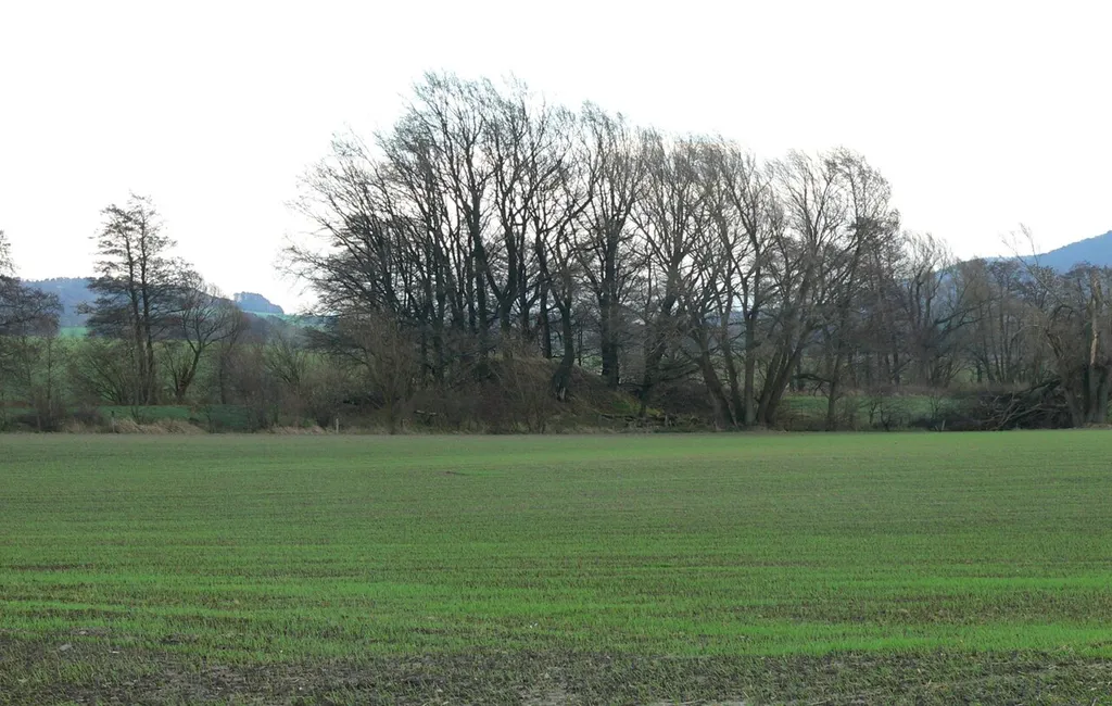 Burg Kahlenberg (Lutter) von Westen, rechts die ansteigenden Berge des Harzes