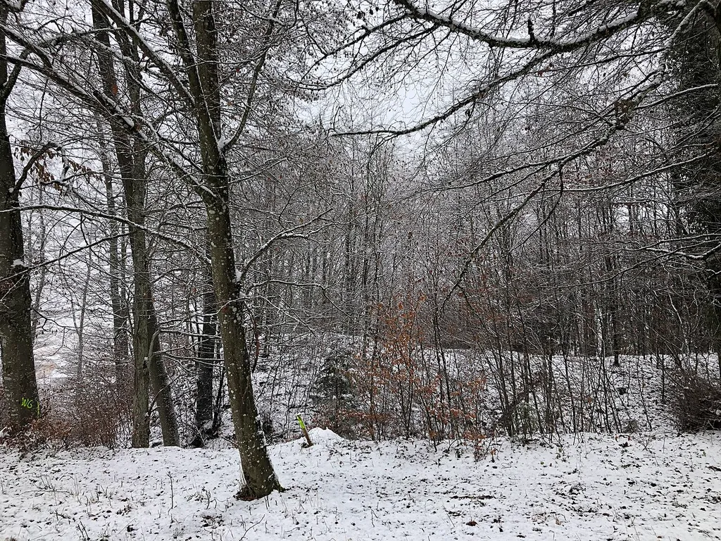 Burgstall der abgegangenen Burg Auernheim, Auernheim (Nattheim), Landkreis Heidenheim, Baden-Württemberg, Deutschland