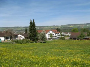 Nesselnbach