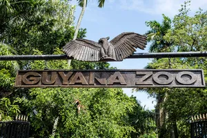 Guyana Zoo