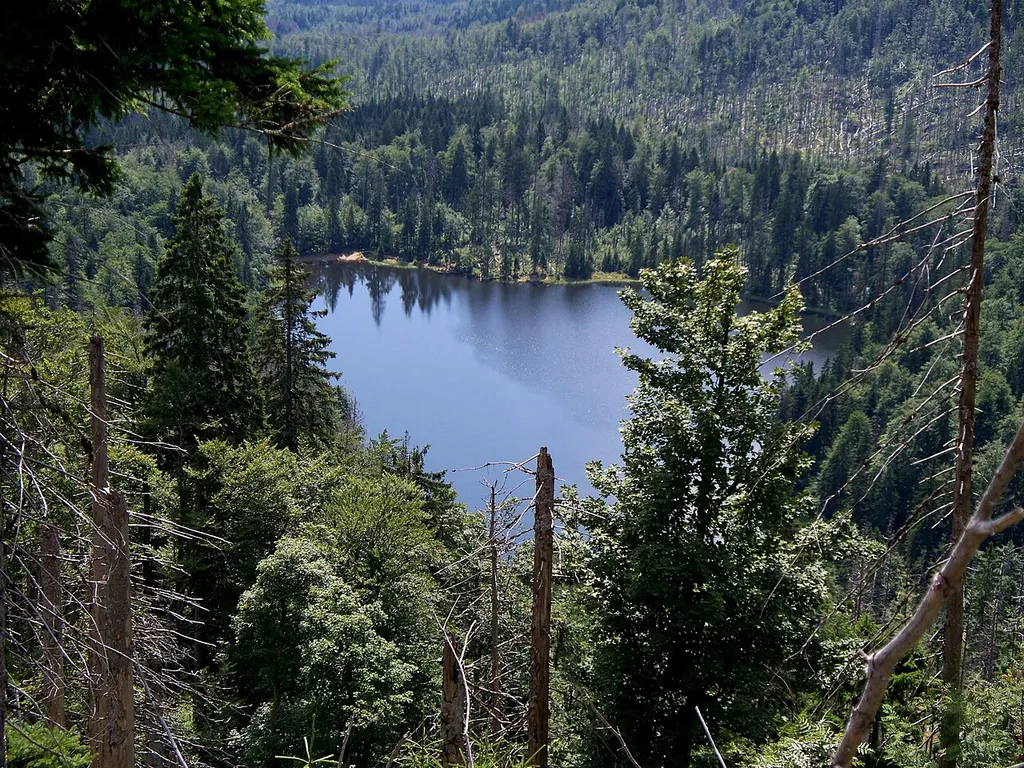 Nationalpark Bayerischer Wald