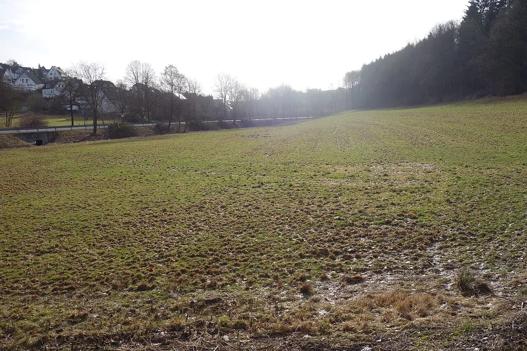 Landschaftsschutzgebiet Leisse mit Seitentälchen westlich Bad Fredeburg