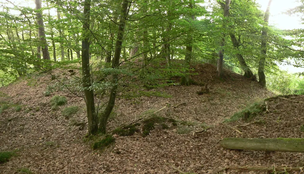 Mückenburg, links der Burghügel auf dem Bergsporn