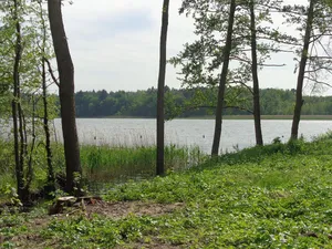 Alter Dorfsee