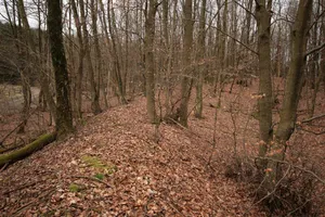 Wallburg Jäckelchen