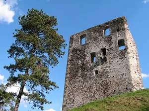 Dobrá Niva Castle