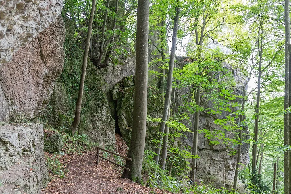 Felsen- und Hangwälder in der Fränkischen Schweiz