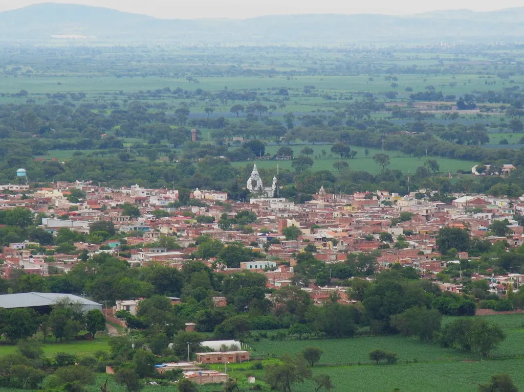 San Martín de Hidalgo