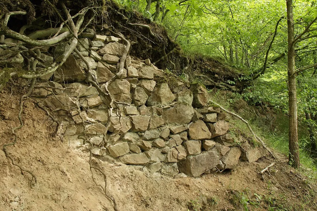 Burgstall Haldenrode - Mauerreste der Ringmauer